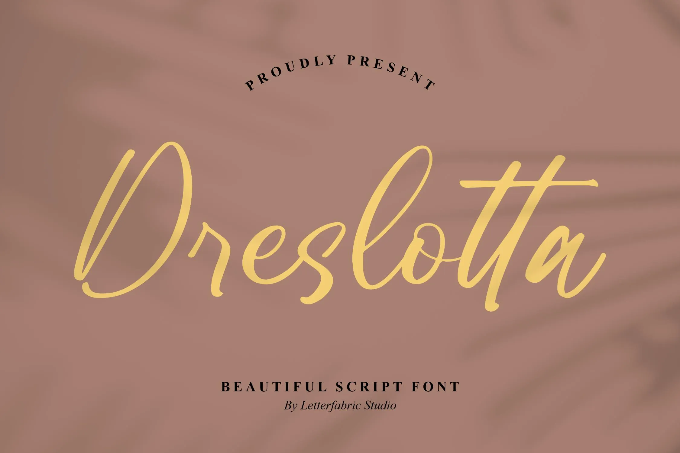 Beautiful Script Lettering Fonts Dreslotta - Beautiful Script Font Font | Letterena Studios